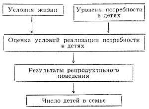 Что такое репродуктивная семья