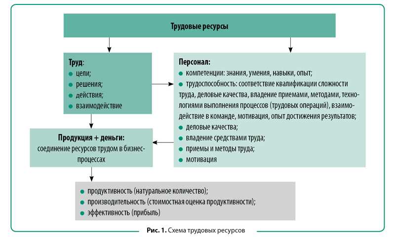 Что такое ресурсы в экономике кратко?