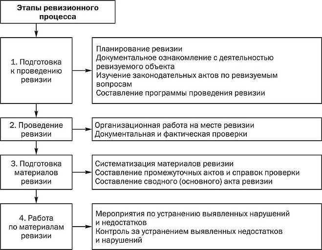 Что такое ревизия простыми словами