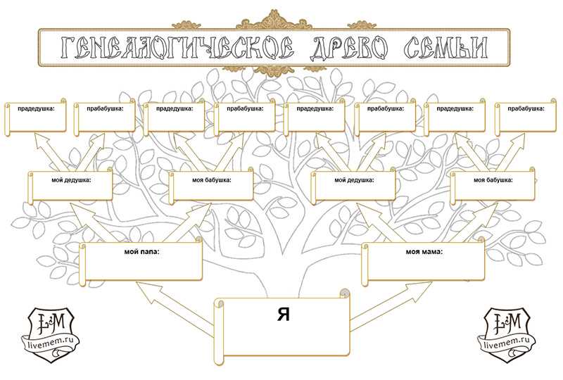 Дерево родословное образец