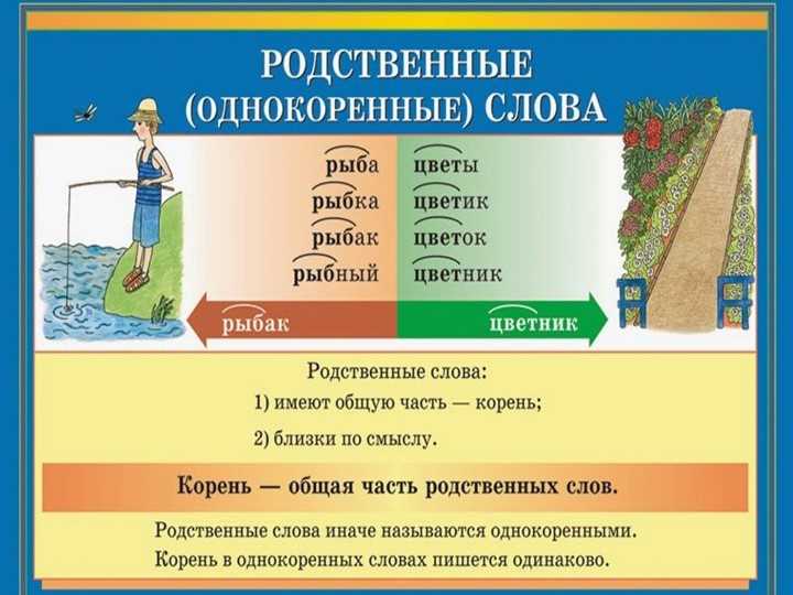 Что такое родственные слова третьего класса