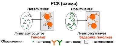 История РСК в микробиологии