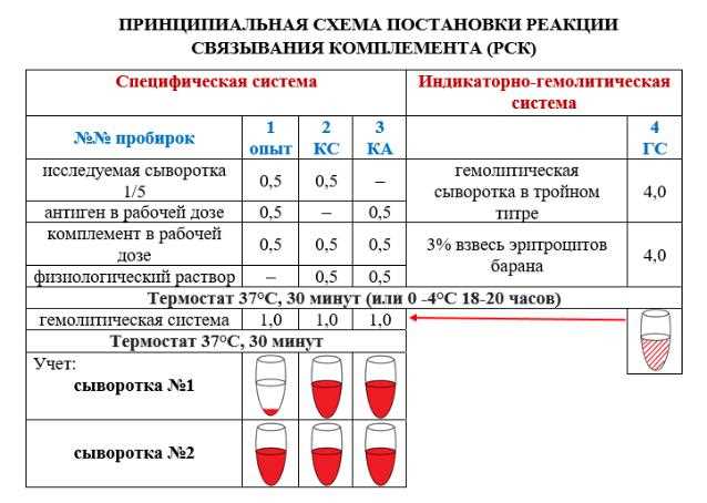 Определение РСК