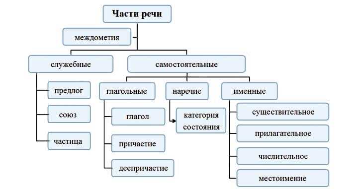 Основные самостоятельные части речи