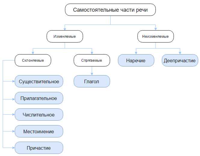 Что такое самостоятельные части речи в русском языке 6 класс