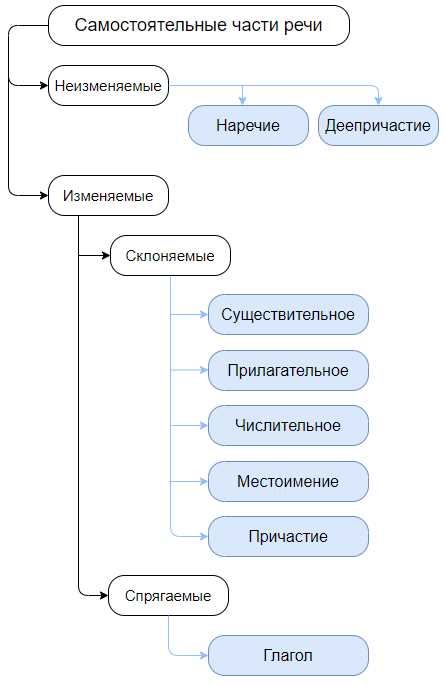 Важность знания самостоятельных слов для изучения русского языка