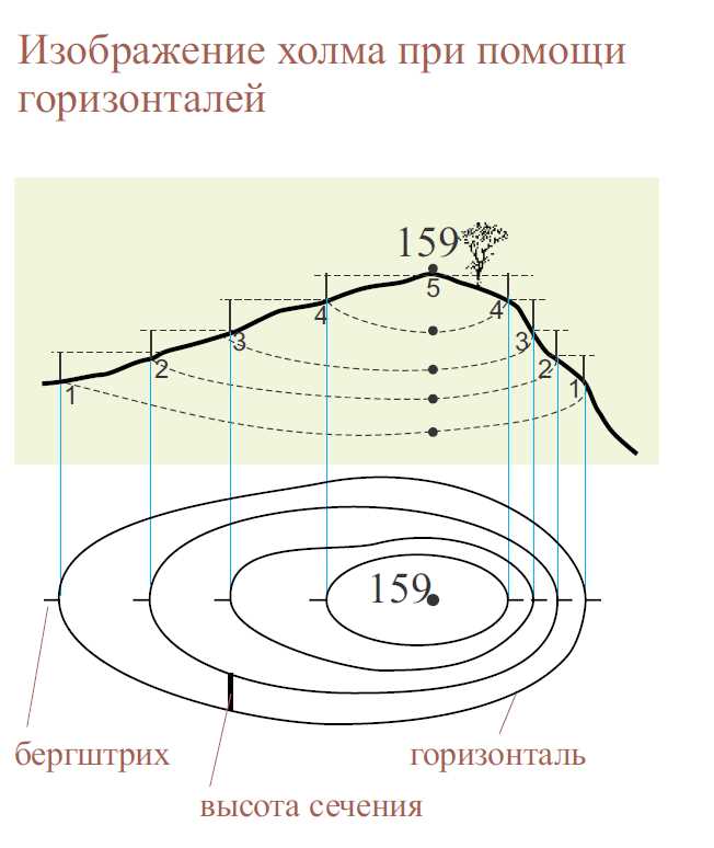 Что такое сечение рельефа?