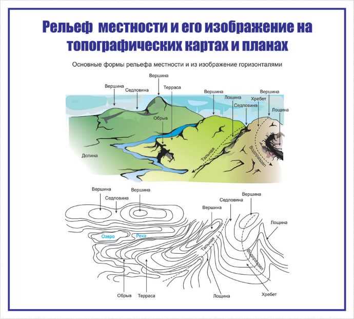 Особенности географического распространения