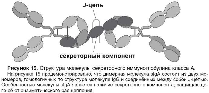 В заключении