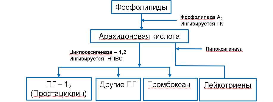 Основные принципы действия селективных препаратов