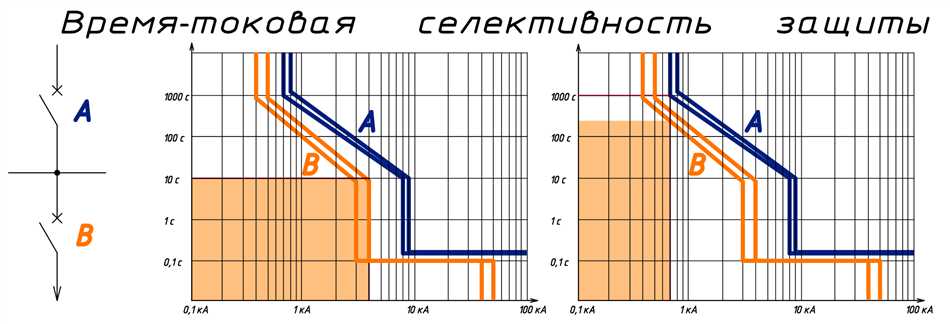 Раздел 3: Значение селективности в различных сферах