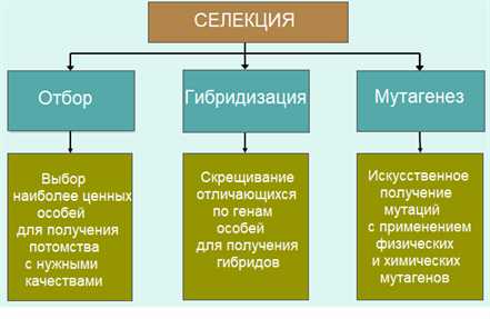 Определение селекции микроорганизмов