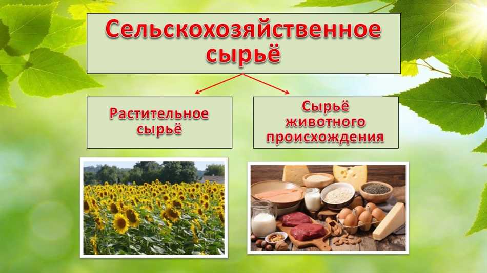 Значение сельскохозяйственного сырья для экономики