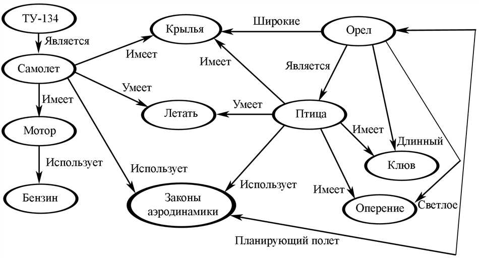 Значение семантических отношений в языке