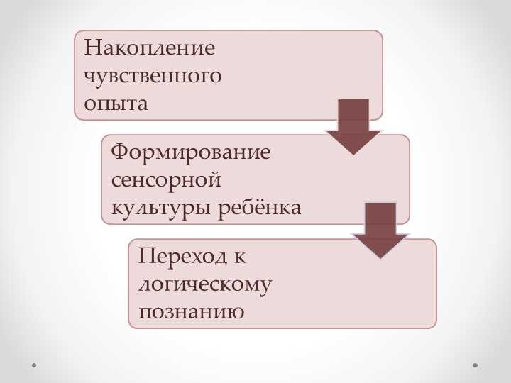 Сенсорная культура: понятие и значение