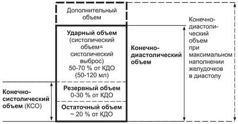 Определение сердечного индекса