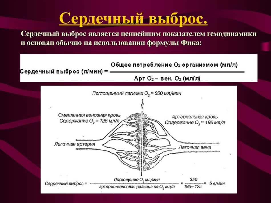 Значение сердечного индекса для оценки здоровья