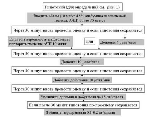 Что такое сердечный индекс