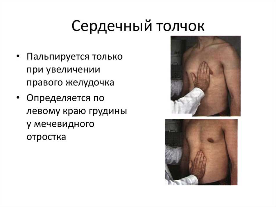 Функции сердечного толчка