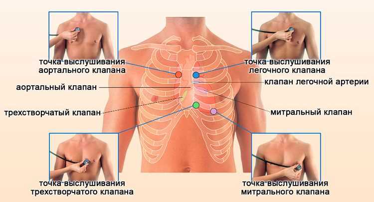 Что такое сердечный толчок