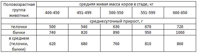 Какие работы выполняются во время сервисного периода