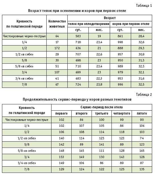 Какие проблемы могут возникнуть во время сервис периода