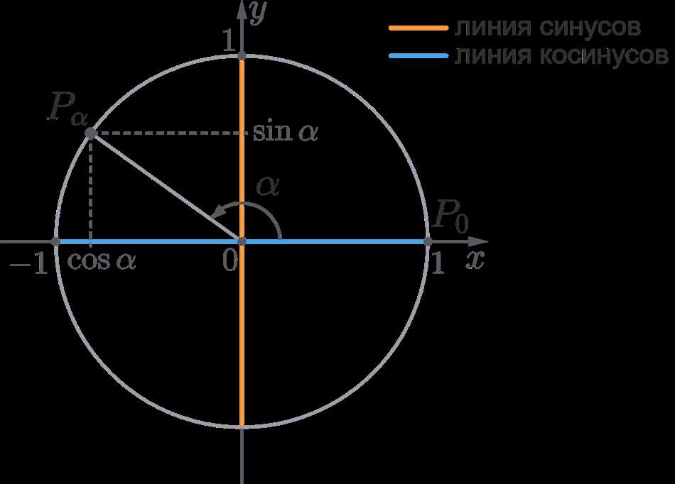 Сущность тригонометрических функций