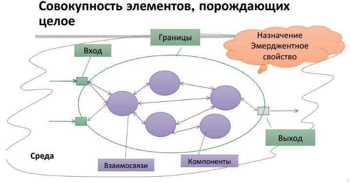 Значение систем в нашей жизни