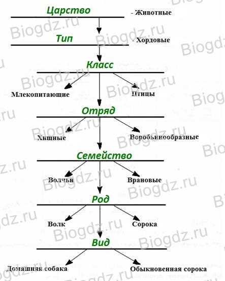 Биологические классы животных