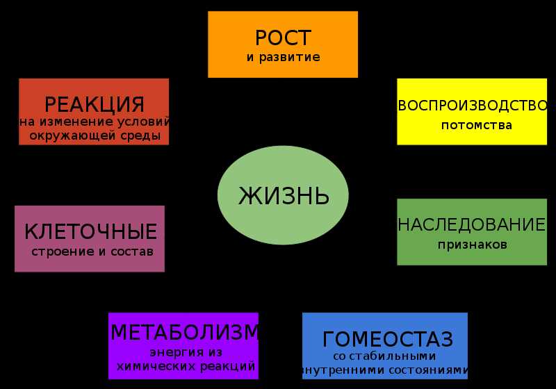 Помощь в исследованиях