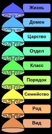 Роли систематики в науке