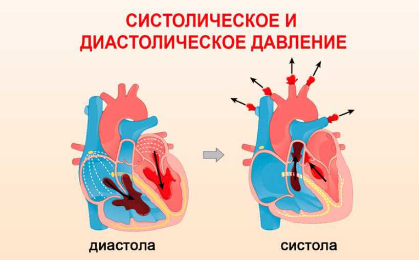 Разница между систолой и диастолой