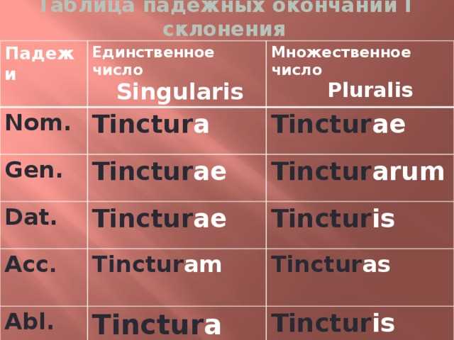 Какие части речи склоняются в латинском языке?