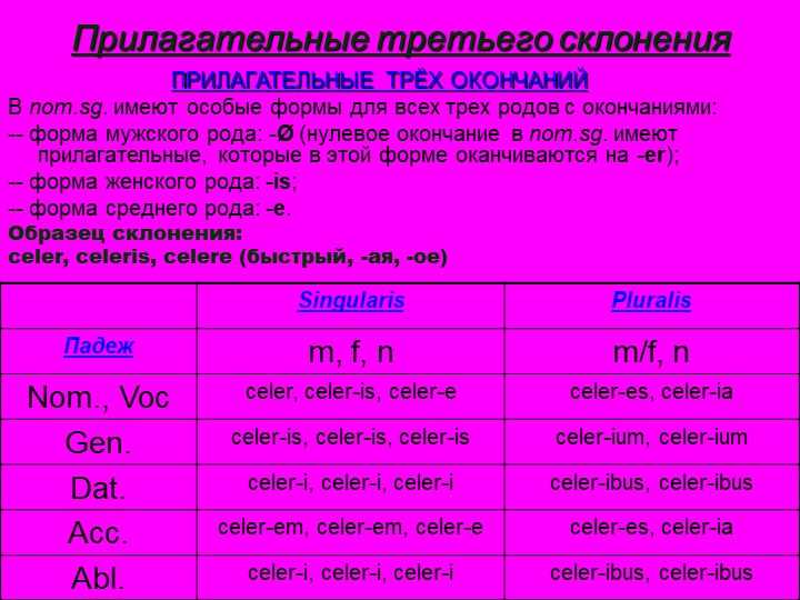 Система склонений в латинском языке