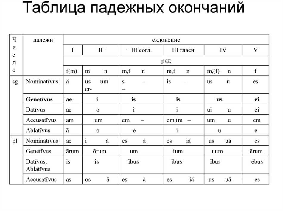 Что такое склонение в латинском языке