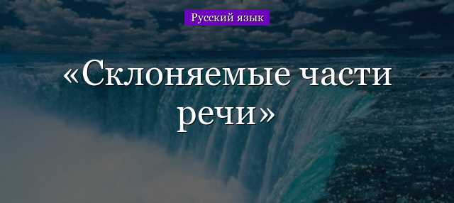 Причины склоняемости частей речи