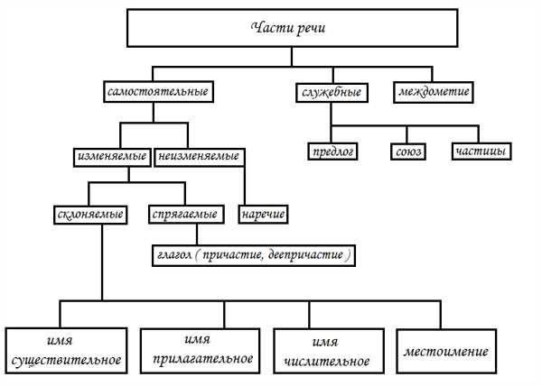 Что такое склоняемые части речи