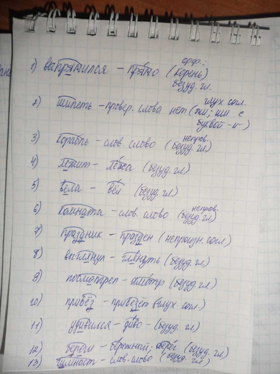 Что такое слова с непроверяемыми орфограммами и почему они вызывают  сложности?