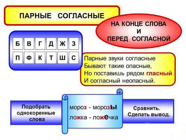 Что такое слова с парными согласными