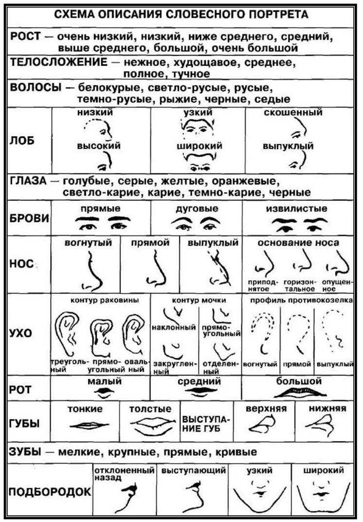 Как составить словесный портрет