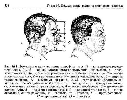 Как выбрать и описать характеристики человека для словесного портрета?