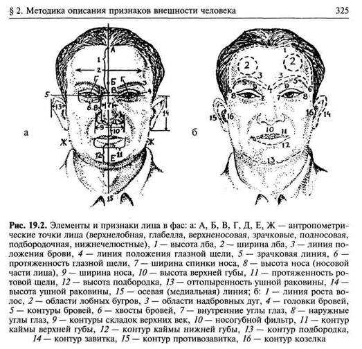 Что представляет собой словесный портрет?