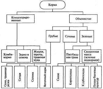 Что такое сочные корма