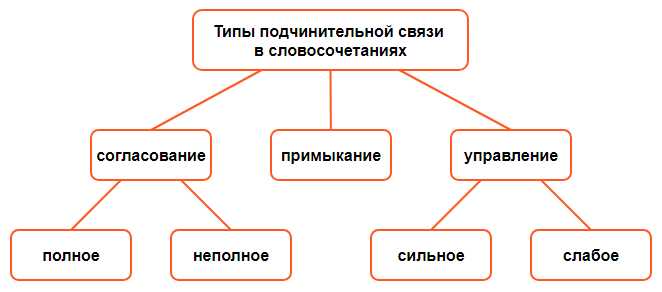 Что такое согласованные словосочетания