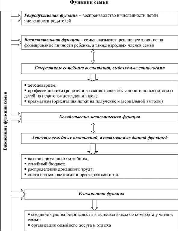 Социальная функция семьи: примеры