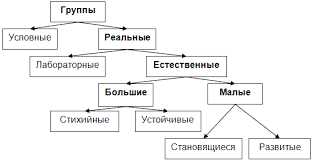 Что такое социальная группа: виды и особенности