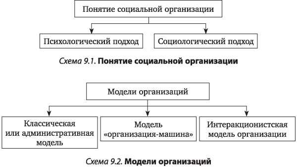 Роль социальных организаций в обществе