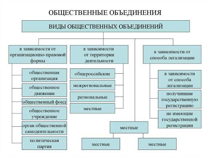 Что такое социальная организация?