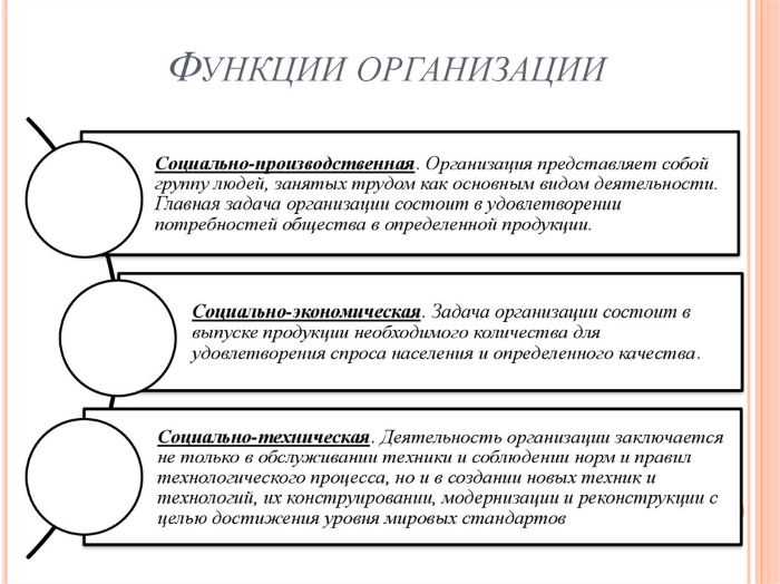 Определение социальной организации