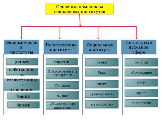 Общественные институты: определение и особенности